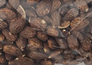 Conoce todos los beneficios para la salud de la Almendra Largueta de la Dehesa de Alcoba